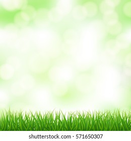green grass background with blurry light in the sky. vector