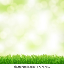 green grass background with blurry light in the sky. vector