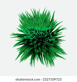 Fondo verde en el centro.