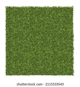 Green grass background Example of grass texture for pattern