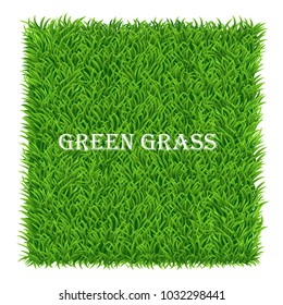 Green grass background. Lawn nature. Abstract field texture. Symbol of summer, plant, eco and natural, growth or fresh. Design for card, banner. Meadow template for print products. Vector Illustration