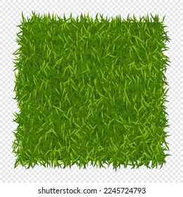 Green grass background. Lawn nature. Abstract field texture. Green grass texture. Vector illustration