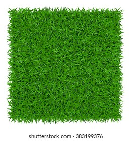 Green grass background. Lawn nature. Abstract field texture. Symbol of summer, plant, eco and natural, growth or fresh. Design for card, banner. Meadow template for print products. Vector Illustration