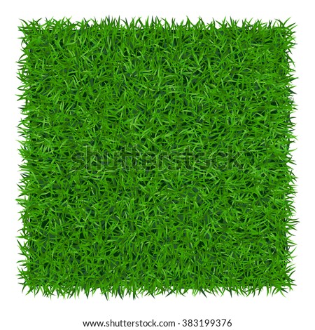 Green grass background. Lawn nature. Abstract field texture. Symbol of summer, plant, eco and natural, growth or fresh. Design for card, banner. Meadow template for print products. Vector Illustration