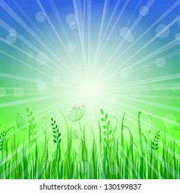 Green Grass Background over Blue Sky. Vector Illustration