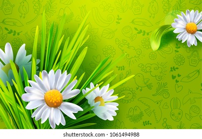 Green grass background with realistic chamomiles. Flowers banner with hand drawn doodle pattern. Vector illustration. Place for text