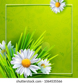 Green grass background with realistic chamomiles. Flowers banner with hand drawn doodle pattern. Vector illustration. Place for text