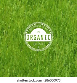 Green grass background texture. Element of design.