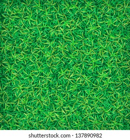 Green grass background. Grass texture. Green grass field