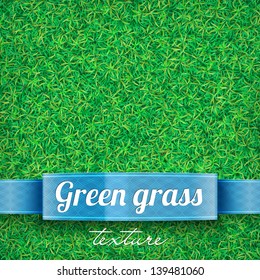 Green grass background. Grass texture. Green grass field