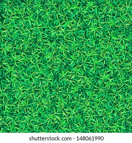 Green grass background. Grass texture. Green grass field