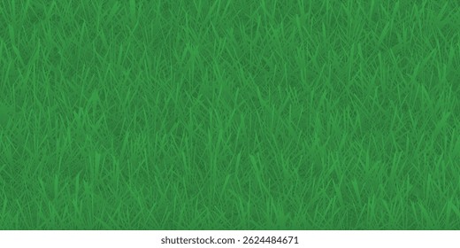 Green grass background texture .top view.