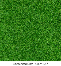 Green Grass Background Texture, Vector Illustration