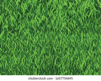 Green grass background texture. Vector Illustration