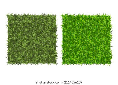 Green grass background Two examples of grass texture for pattern