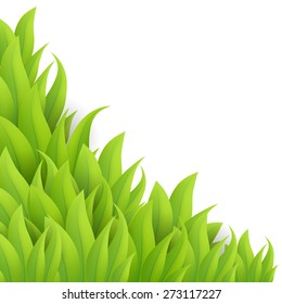 Green grass background, vector