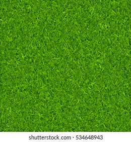 Green grass background vector