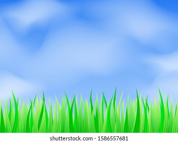 Green grass background. Vector illustration for poster