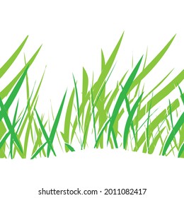 Green grass background. Vector illustration.