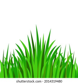 Green grass background. Vector illustration.