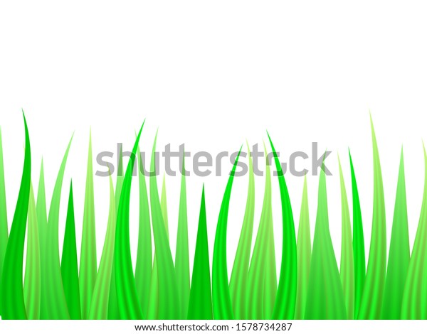 Green Grass Background Vector Illustration Stock Vector Royalty Free 1578734287 Shutterstock 7317