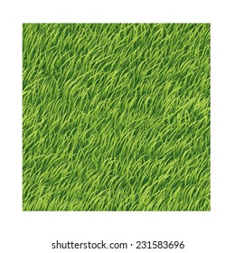 Green grass background. Vector texture