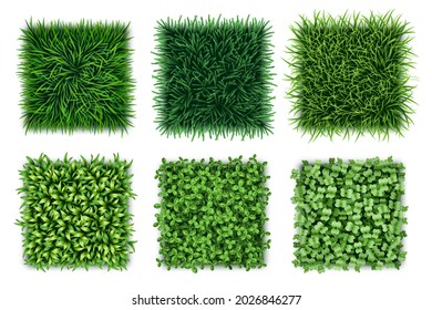 Green grass backgrounds set. Realistic fresh lawn textures collection isolated on white background. Seamless turf pattern. 3d design vector illustration