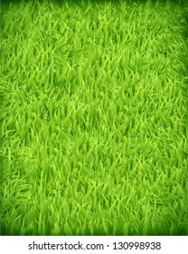 Green grass background.Vector
