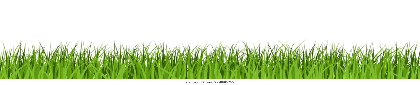 Green grass banner, lawn border, meadow background