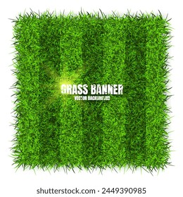 Green grass banners, background. Field, meadow texture, grassy landscape. Football playing pitch, soccer field. Sports ground, stadium. Ecology and environment protection. Vector illustration