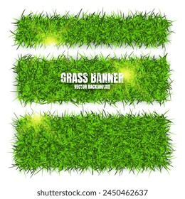 Green grass banners, background. Field, meadow texture, grassy landscape. Organic, bio, eco and natural lifestyle design elements. Ecology and environment protection. Vector illustration