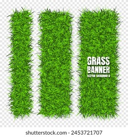 Green grass banners, background. Field, meadow texture, grassy landscape. Organic, bio, eco and natural lifestyle design elements. Ecology and environment protection. Vector illustration