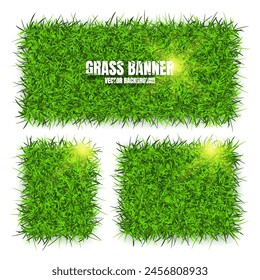 Green grass banners, background. Field, meadow texture, grassy landscape. Organic, bio, eco and natural lifestyle design elements. Ecology and environment protection. Vector illustration