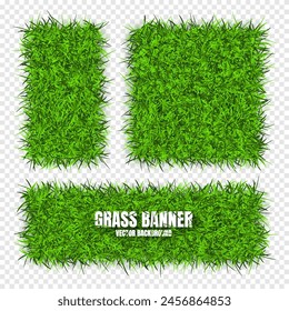 Green grass banners, background. Field, meadow texture, grassy landscape. Organic, bio, eco and natural lifestyle design elements. Ecology and environment protection. Vector illustration