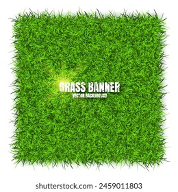 Green grass banners, background. Field, meadow texture, grassy landscape. Organic, bio, eco and natural lifestyle design elements. Ecology and environment protection. Vector illustration