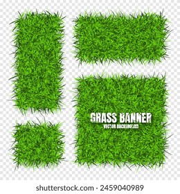 Green grass banners, background. Field, meadow texture, grassy landscape. Organic, bio, eco and natural lifestyle design elements. Ecology and environment protection. Vector illustration