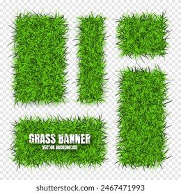 Green grass banners, background. Field, meadow texture, grassy landscape. Organic, bio, eco and natural lifestyle design elements. Ecology and environment protection. Vector illustration