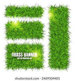 Green grass banners, background. Field, meadow texture, grassy landscape. Organic, bio, eco and natural lifestyle design elements. Ecology and environment protection. Vector illustration