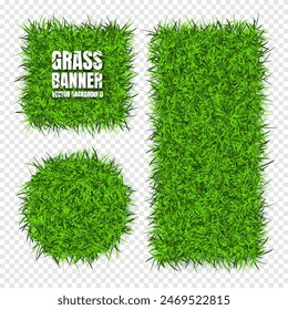 Green grass banners, background. Field, meadow texture, grassy landscape. Organic, bio, eco and natural lifestyle design elements. Ecology and environment protection. Vector illustration