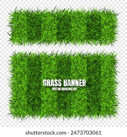 Green grass banners, background. Field, meadow texture, grassy landscape. Football playing pitch, soccer field. Sports ground, stadium. Ecology and environment protection. Vector illustration