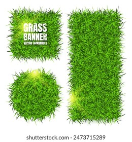 Green grass banners, background. Field, meadow texture, grassy landscape. Organic, bio, eco and natural lifestyle design elements. Ecology and environment protection. Vector illustration