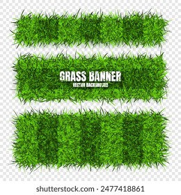 Green grass banners, background. Field, meadow texture, grassy landscape. Football playing pitch, soccer field. Sports ground, stadium. Ecology and environment protection. Vector illustration