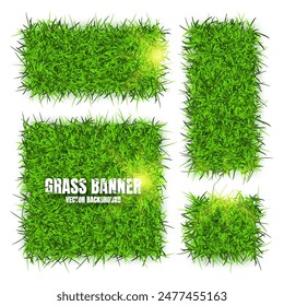 Green grass banners, background. Field, meadow texture, grassy landscape. Organic, bio, eco and natural lifestyle design elements. Ecology and environment protection. Vector illustration