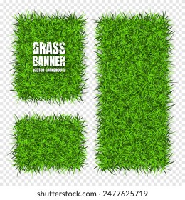 Green grass banners, background. Field, meadow texture, grassy landscape. Organic, bio, eco and natural lifestyle design elements. Ecology and environment protection. Vector illustration