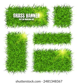 Green grass banners, background. Field, meadow texture, grassy landscape. Organic, bio, eco and natural lifestyle design elements. Ecology and environment protection. Vector illustration