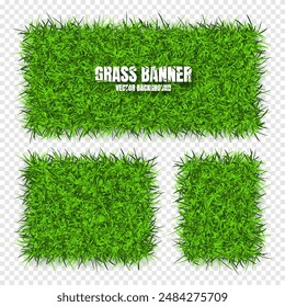 Green grass banners, background. Field, meadow texture, grassy landscape. Organic, bio, eco and natural lifestyle design elements. Ecology and environment protection. Vector illustration