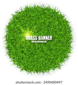 Green grass banners, background. Field, meadow texture, grassy landscape. Organic, bio, eco and natural lifestyle design elements. Ecology and environment protection. Vector illustration