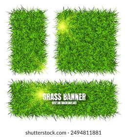 Green grass banners, background. Field, meadow texture, grassy landscape. Organic, bio, eco and natural lifestyle design elements. Ecology and environment protection. Vector illustration.