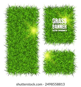 Green grass banners, background. Field, meadow texture, grassy landscape. Organic, bio, eco and natural lifestyle design elements. Ecology and environment protection. Vector illustration