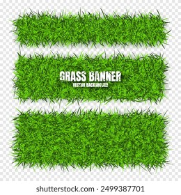 Green grass banners, background. Field, meadow texture, grassy landscape. Organic, bio, eco and natural lifestyle design elements. Ecology and environment protection. Vector illustration